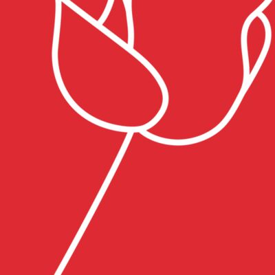 Socialist Rose Thumbnail